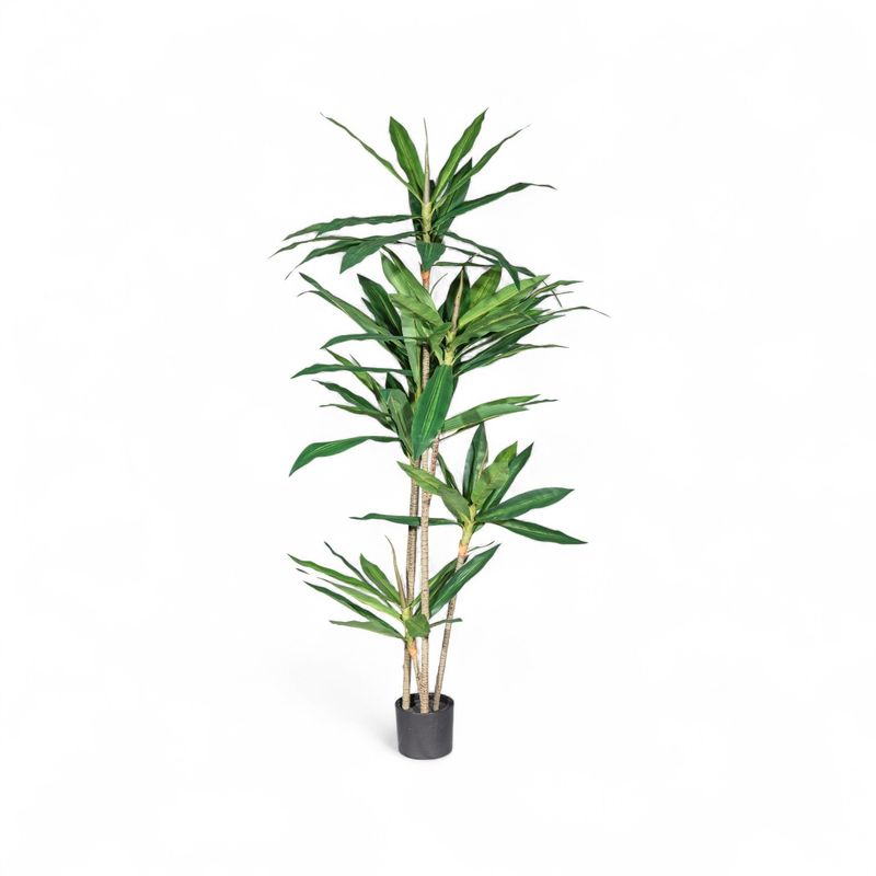Arbol-dracena-160cm