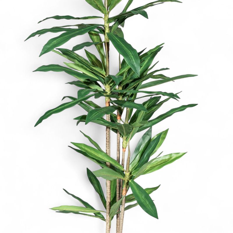 Arbol-dracena-160cm