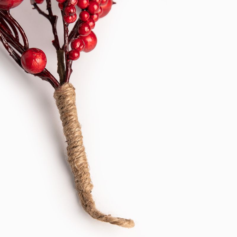 Rama-colgante-berries