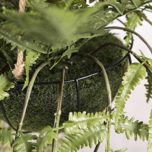 Helecho colgante 91cm