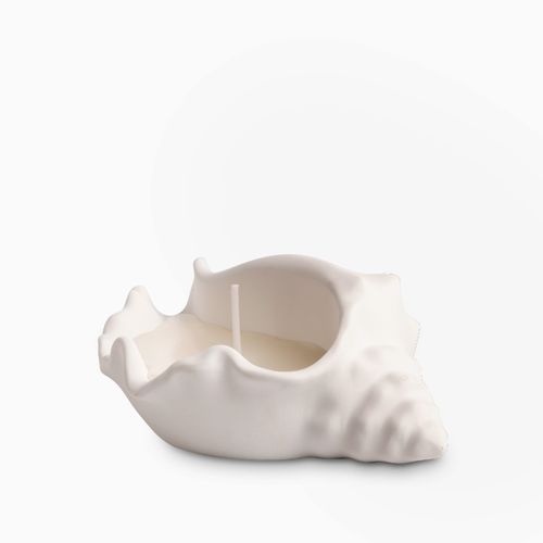 Vela concha mar grande