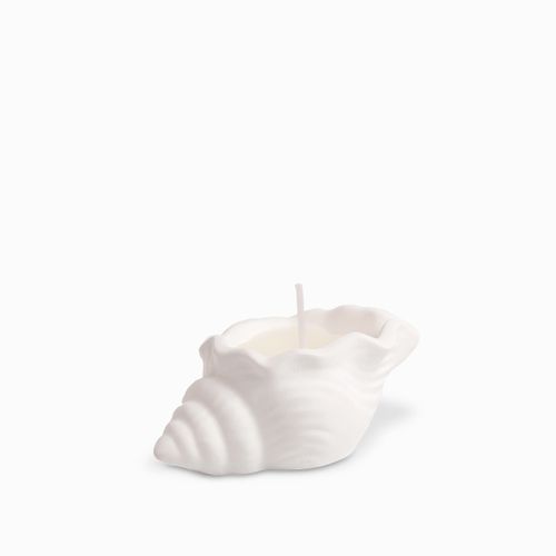 Vela concha mar pequeña