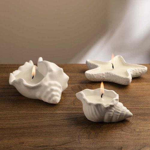 Vela concha mar pequeña