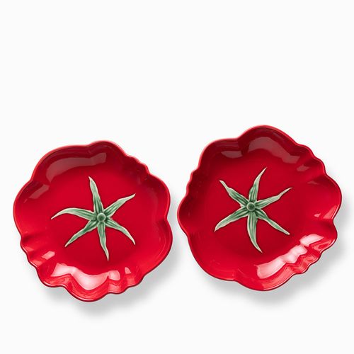 Plato principal huerto mestizo 26cm setx2