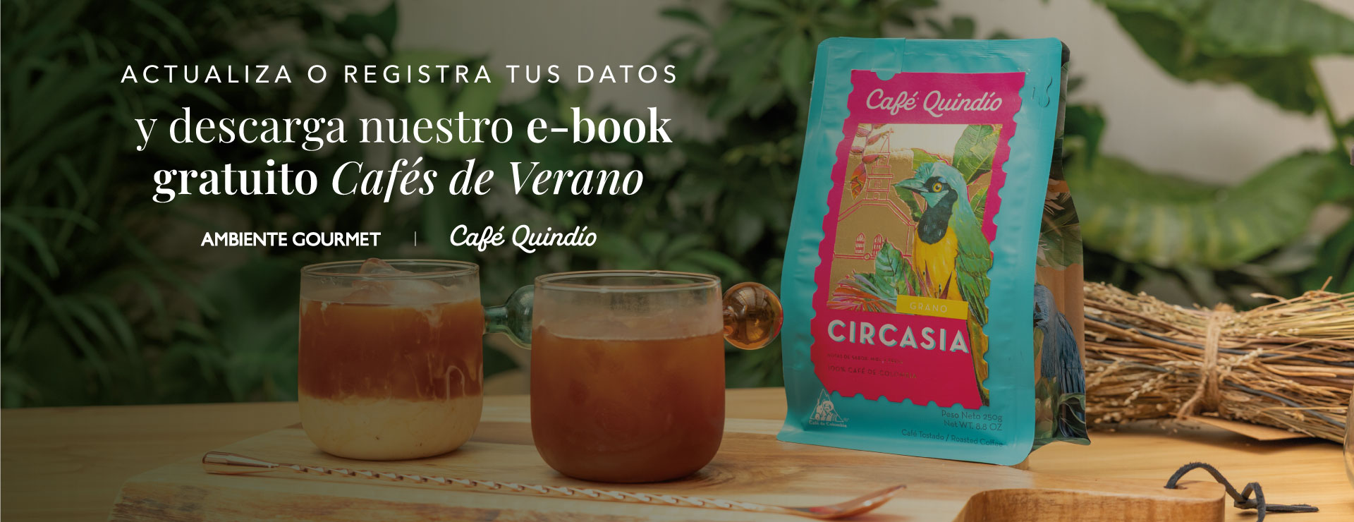 Campaña Verano
