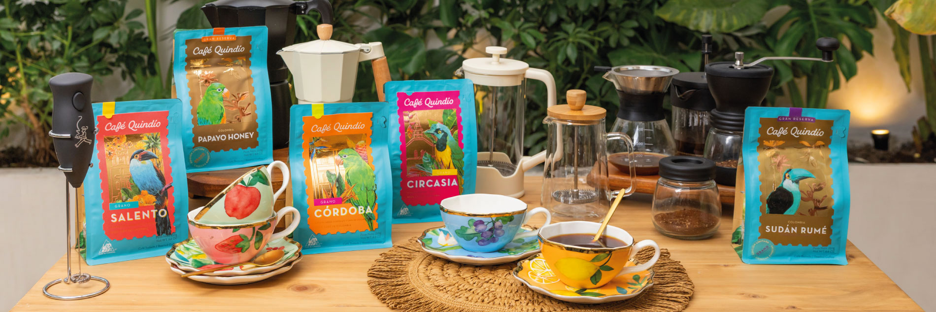 Conoce los tipos de cafe