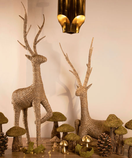 Imagen principal de la tarjeta